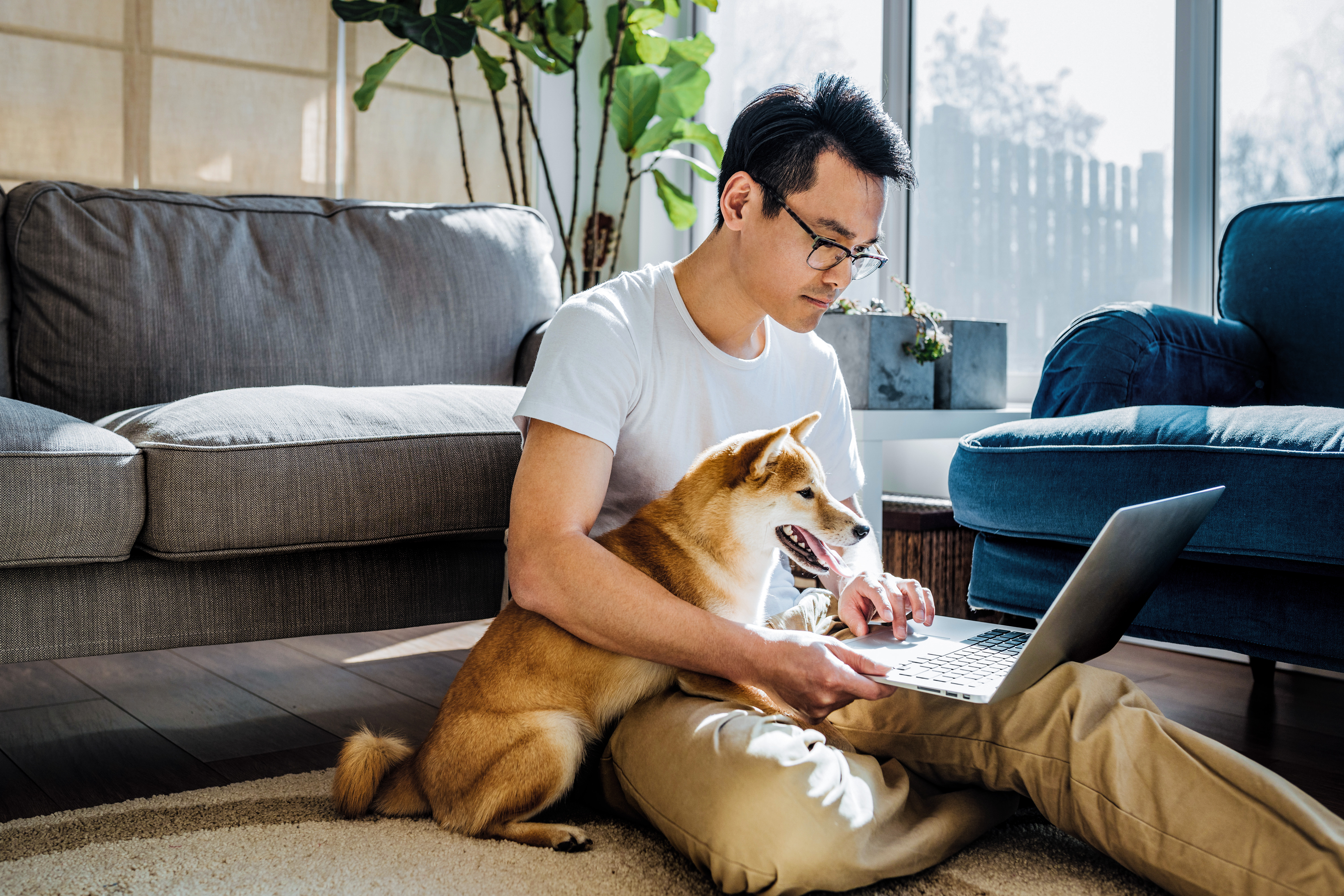 Un hombre, con su perro, usando su portátil