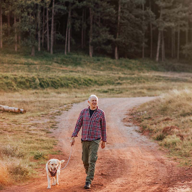 Hombre y perro de paseo