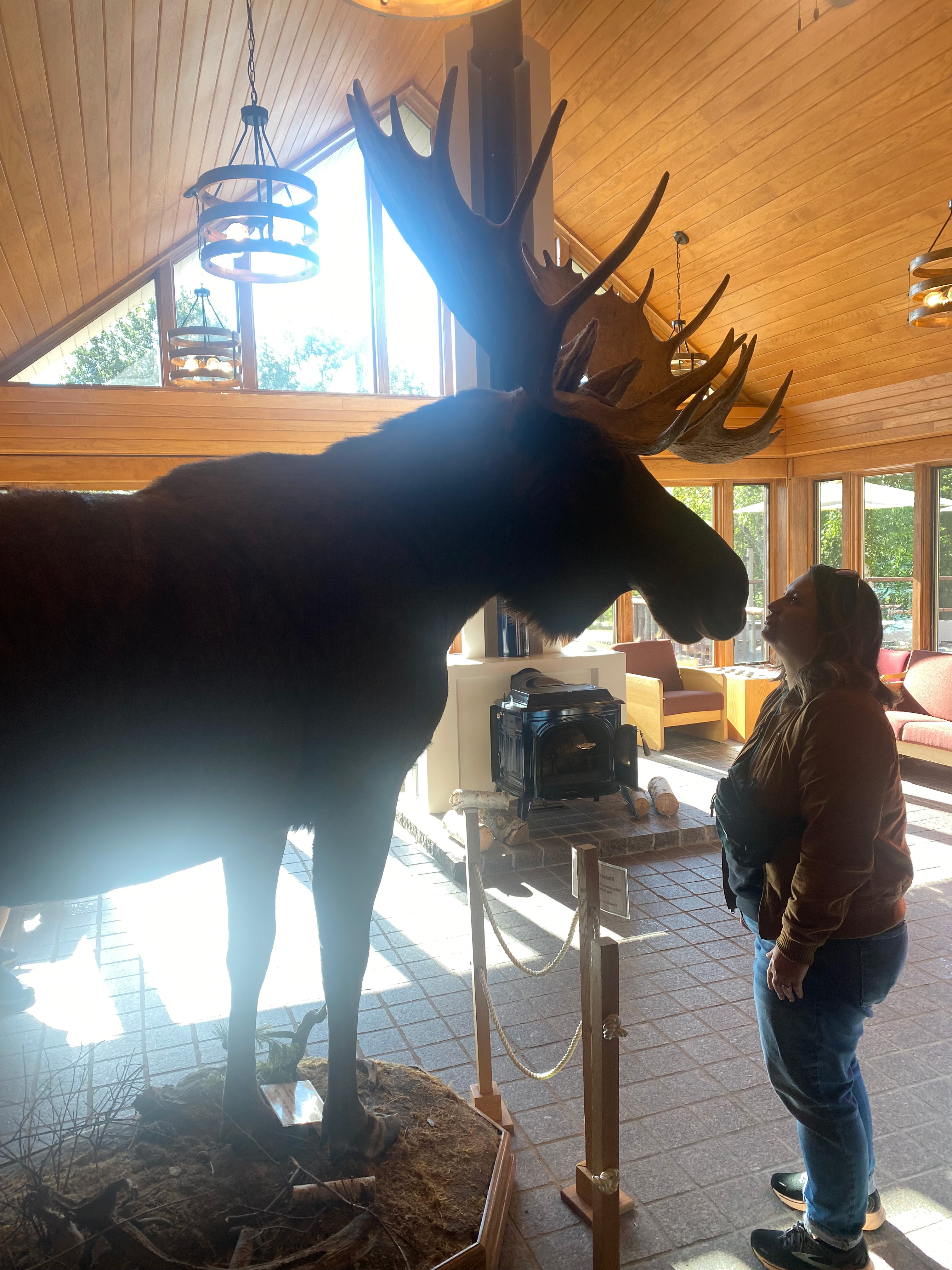 Женщина притворяется, что целует пушистого оленя