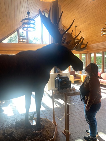 Женщина притворяется, что целует пушистого оленя