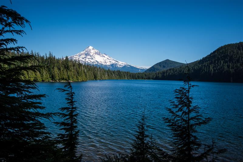 Mt Hood