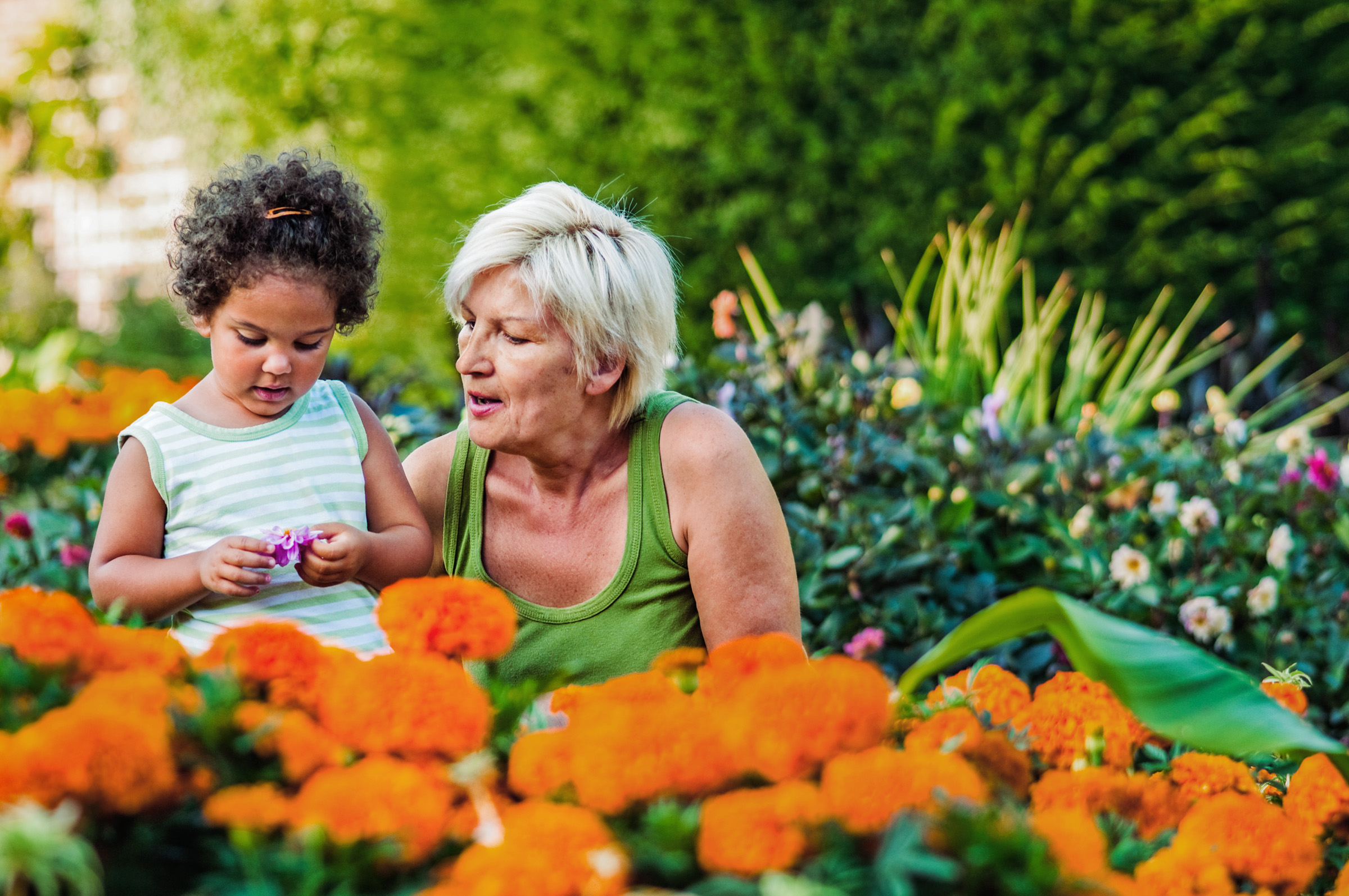 Family looking at flowers