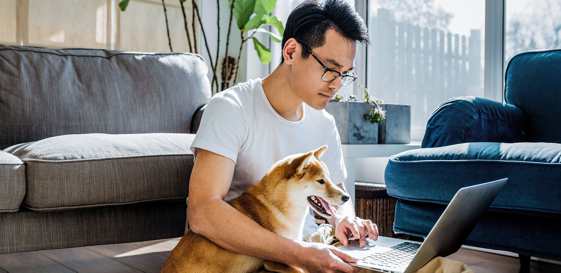 Man with dog on lap looks at laptop