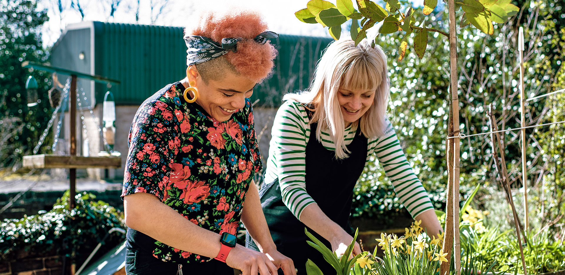 Two friends garden together